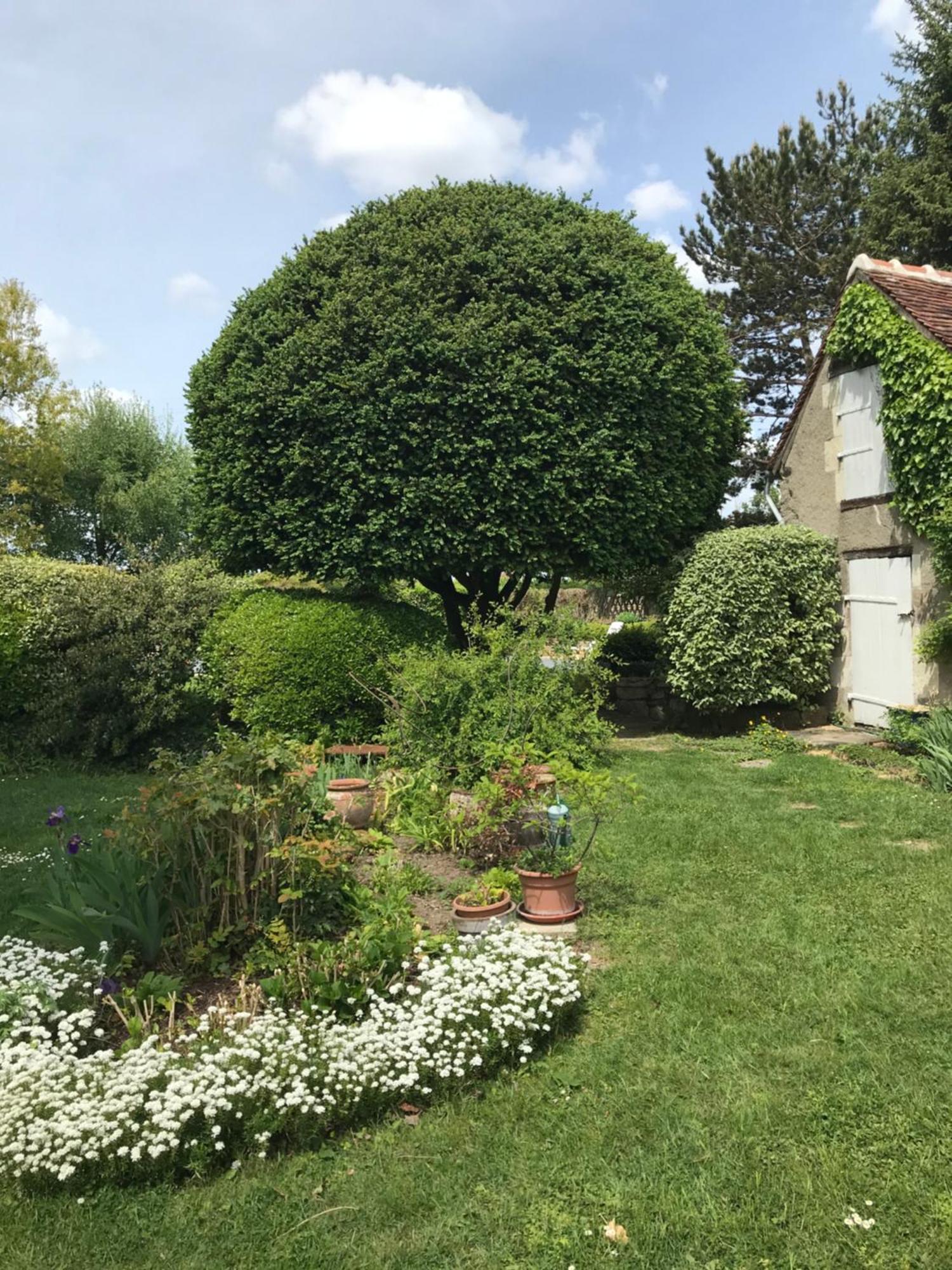 La Mauverniere, 2 Gites Independants, 1 Grande Piscine Exterieure, Jardin Arbore Descartes Exterior foto